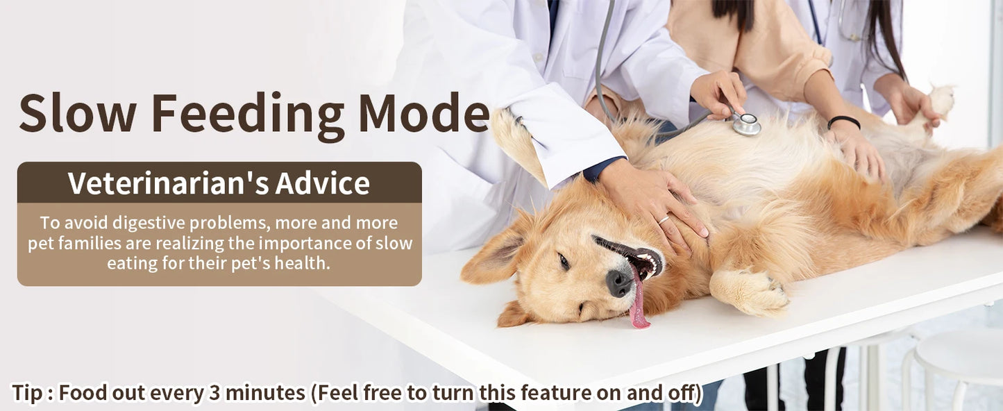 Smart Automatic Cat Feeders WiFi Pet Feeder with APP Control for Remote Feeding Detachable for Easy Clean Cat Food