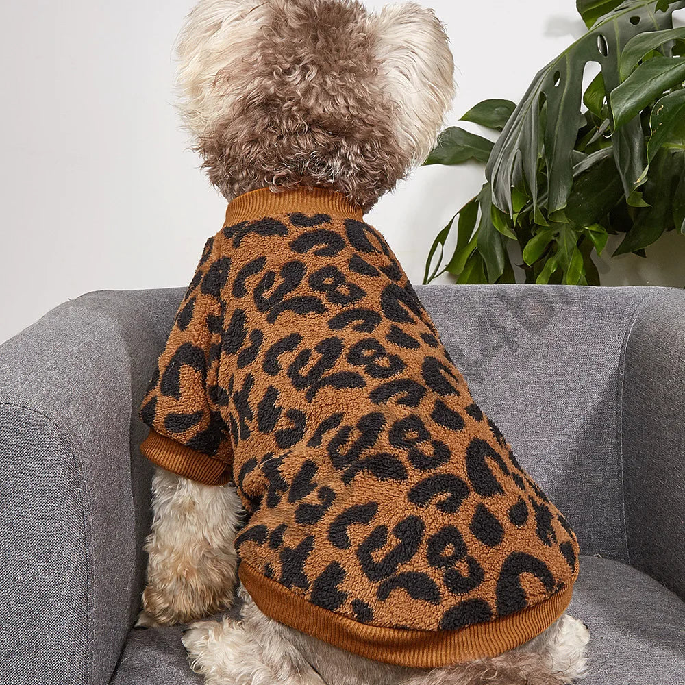 Warm Dog Coat – Winter Jacket for Small Dogs & Cats