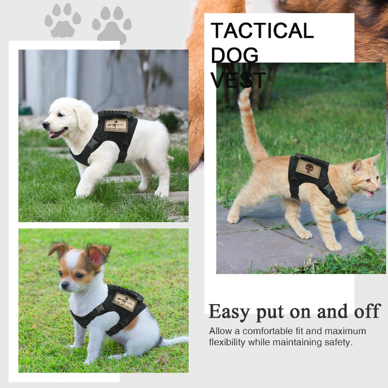Tactical Harness Training Vest Leash Set for Puppy and small Dogs Easy Control