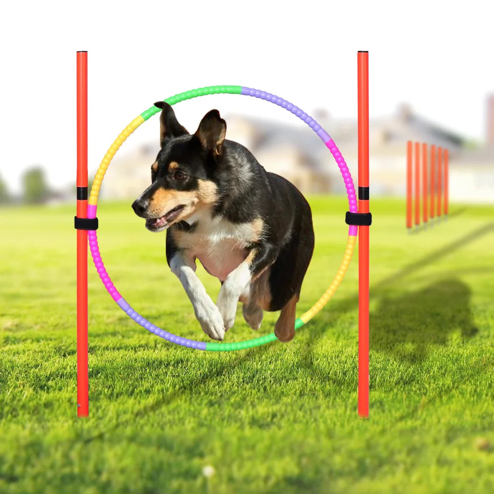 Outdoor Dog Obstacle Training Set Pet Agility Equipment Jumping Set Dog Training Accessories Dog Obstacle Course