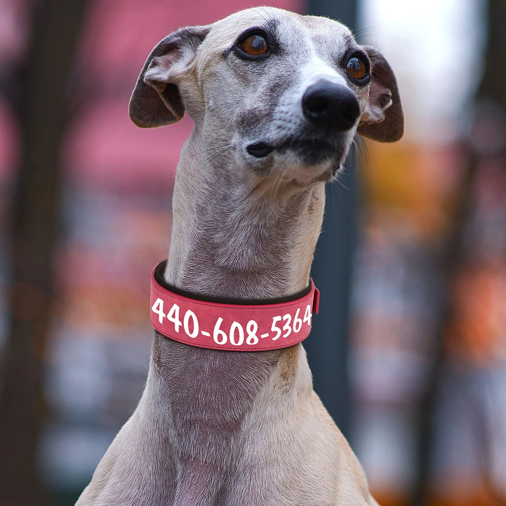 Leather Customized Dogs Tag Collars Soft Pet Collar for Medium and Large Dogs