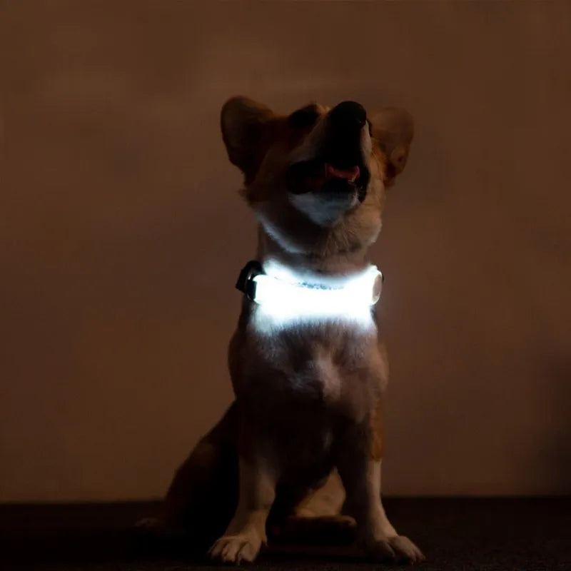 Pet Led Multi-Functional Leash Night Light Silicone Collar Strap Cat And Dog Collar Durable Pvc+Abs Dog Leash Pet Accessories